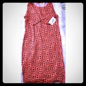 Lularoe NWT Julia Dress